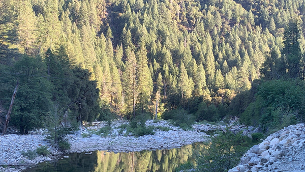 Yuba River, Tahoe National Forest, California